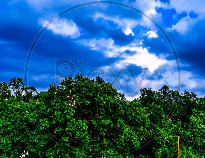 Wonderful blue dramatic sky behind the trees