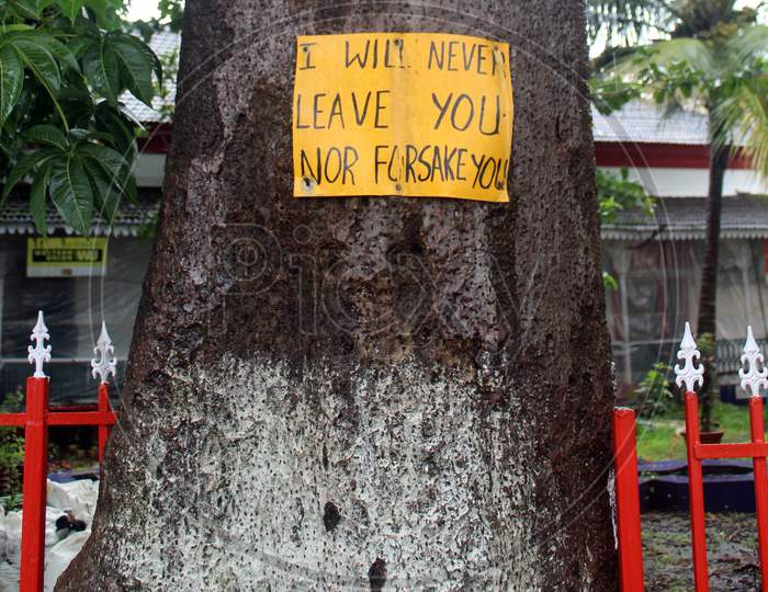 Tree with yellow sign