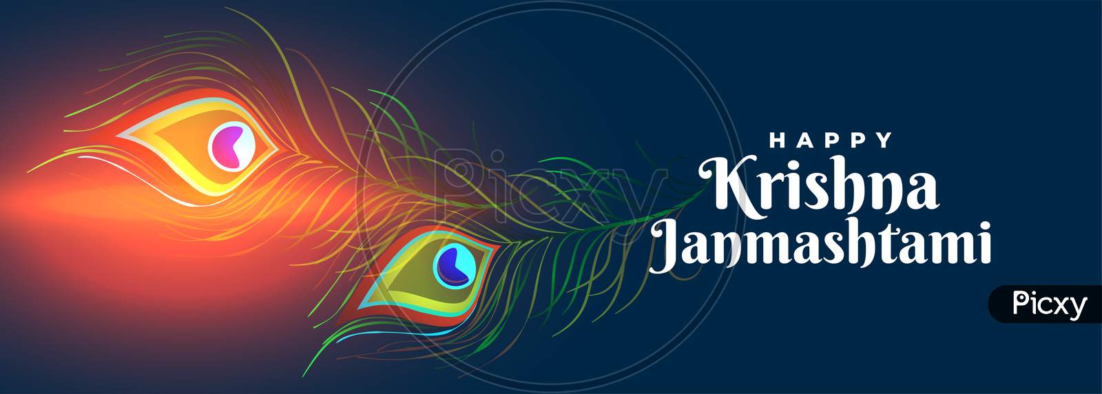 Happy Krishna Janmashtami Festival Banner With Peacock Feathers