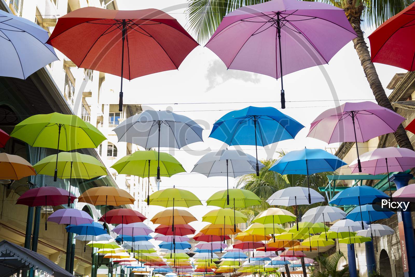 Colorful hanging umbrellas .