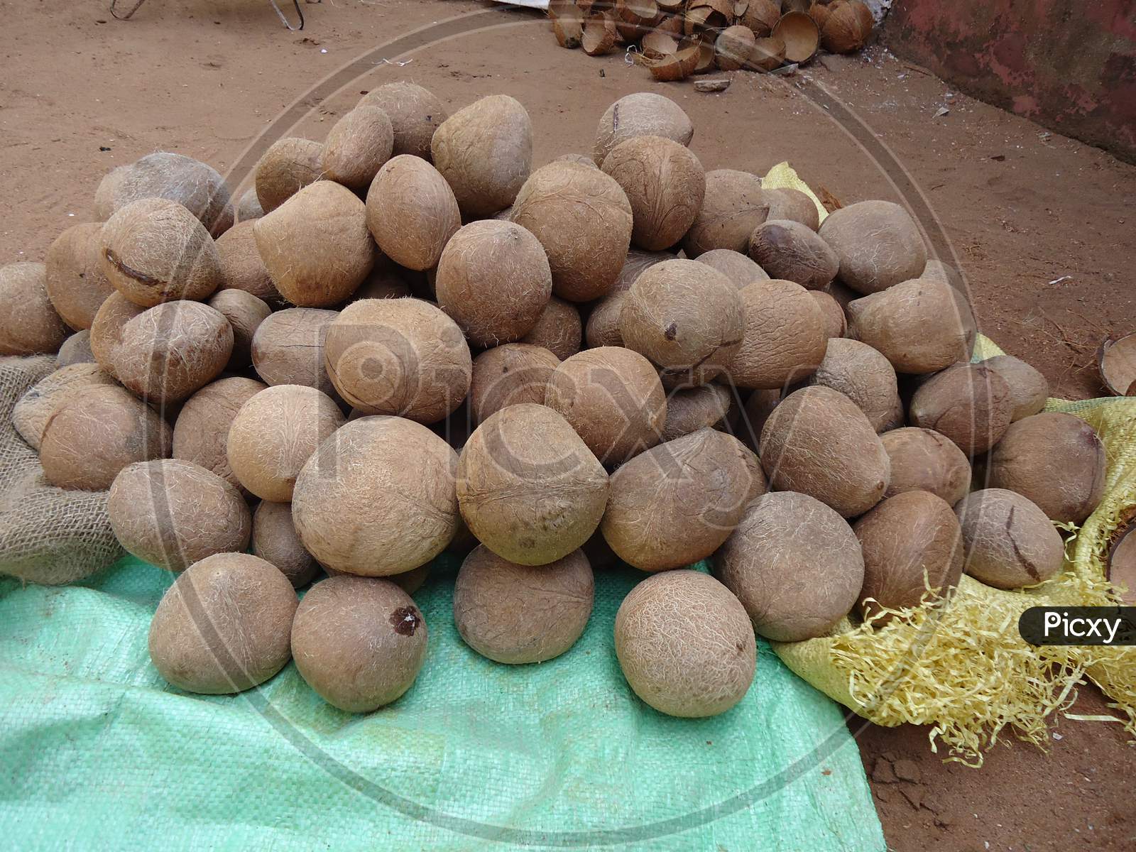 dry coconut, thalassery, kerala, india