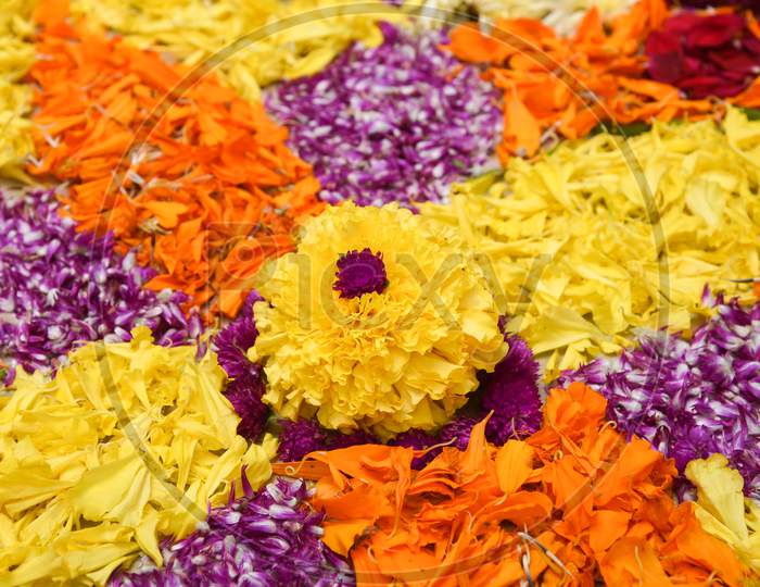 Onam harvest festival of Kerala