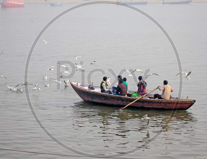 tourist boat and migratory birds at varanasi