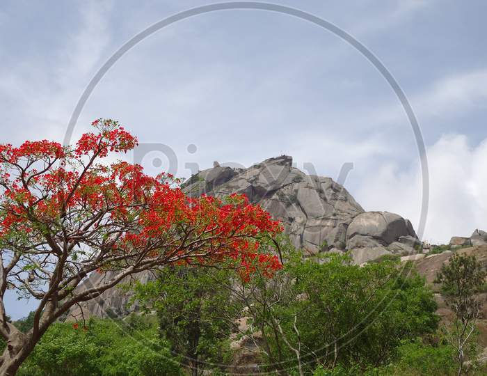 shivagange hills, Dobbaspet, in Bengaluru Rural district India.