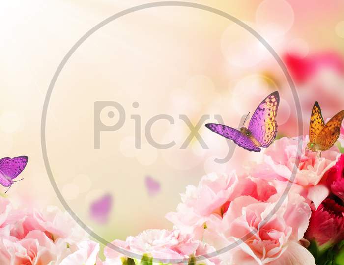 Butterfly On Flowers