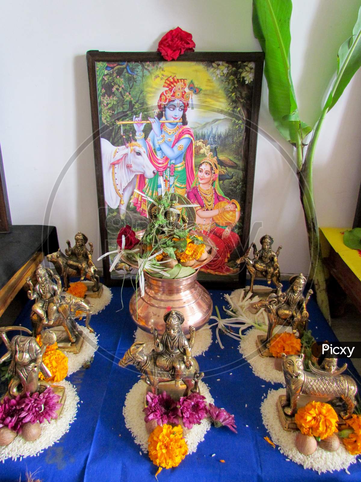 A photo of Hindu god lord Krishna and Goddess Radha