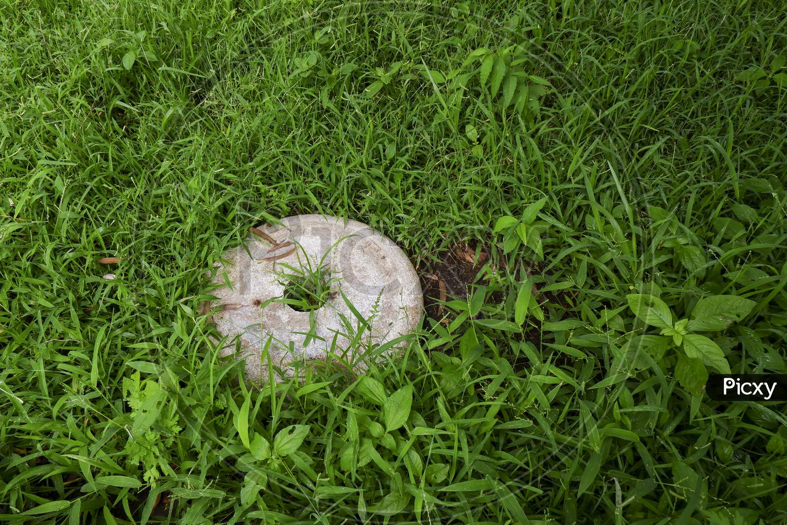 Close View Of White Round Granite Stone Isolated On Green Grass