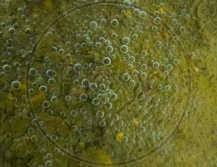 Air bubbles in lake water. Air bubbles in dirty pond water. Air bubbles if algae in water.
