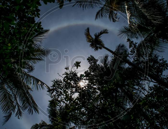 The mysterious sun ring or Sun Halo of optical phenomena in the sky in Bankura, India, is a strange phenomenon of nature behind trees.