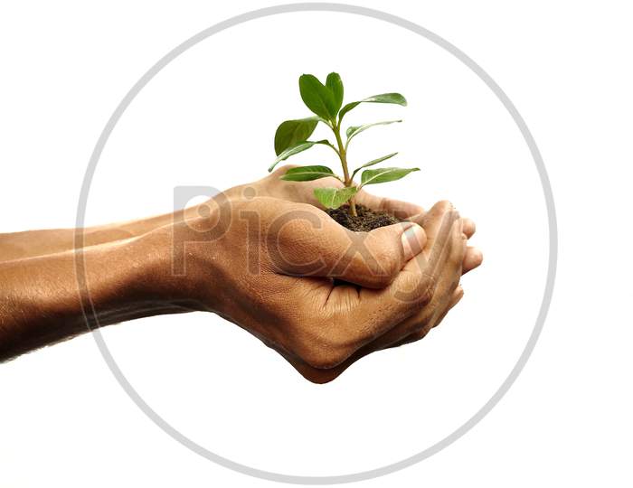 Save environment concept, hand holing leaf