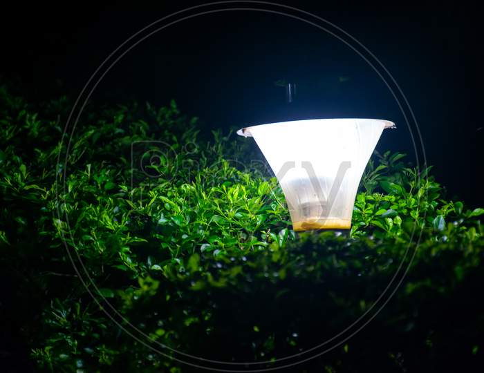 Decorative Lanterns In Flower Bed In Green Foliage Garden Design at Night Closeup Photo. Feel fresh and relaxed at night to moving in the park.