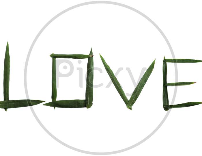 Love Word Written With Bamboo Leaves On White Background In Horizontal Orientation, Perfect For Wallpaper