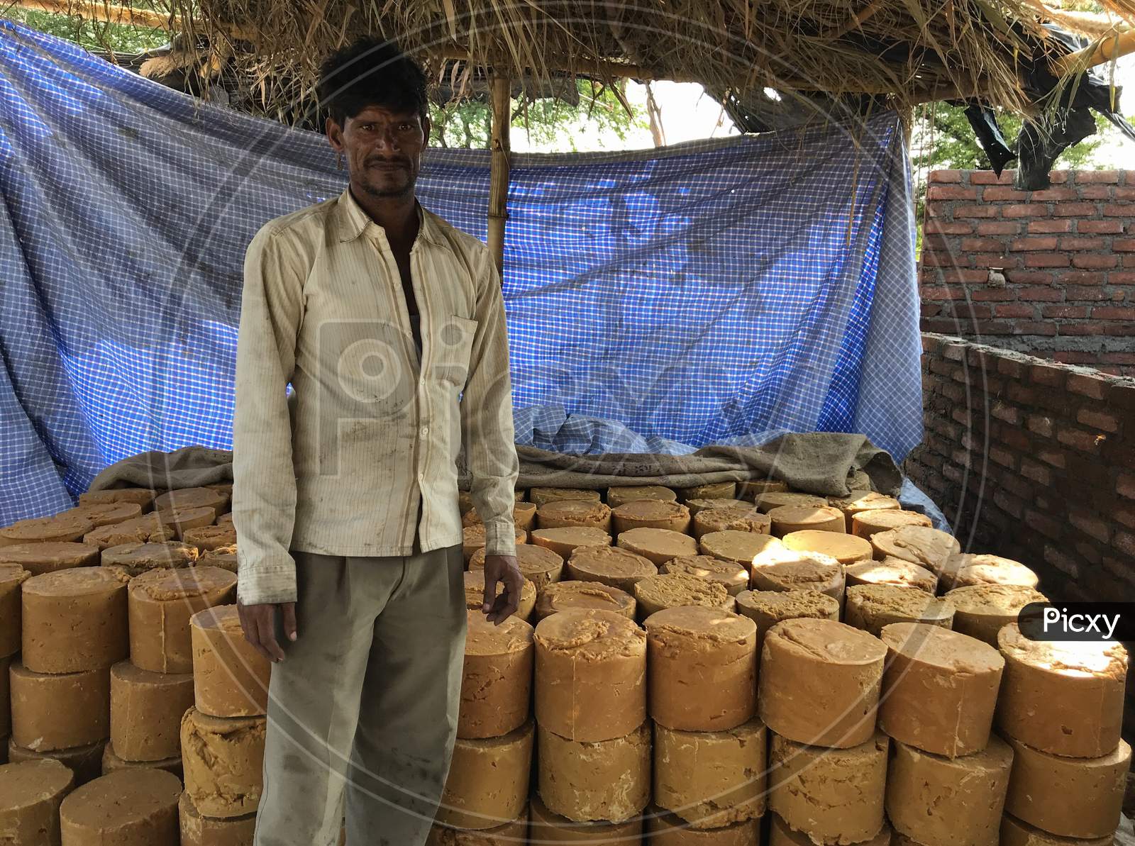A Man Showing Jaggery Stock Made By Sugarcane Juice