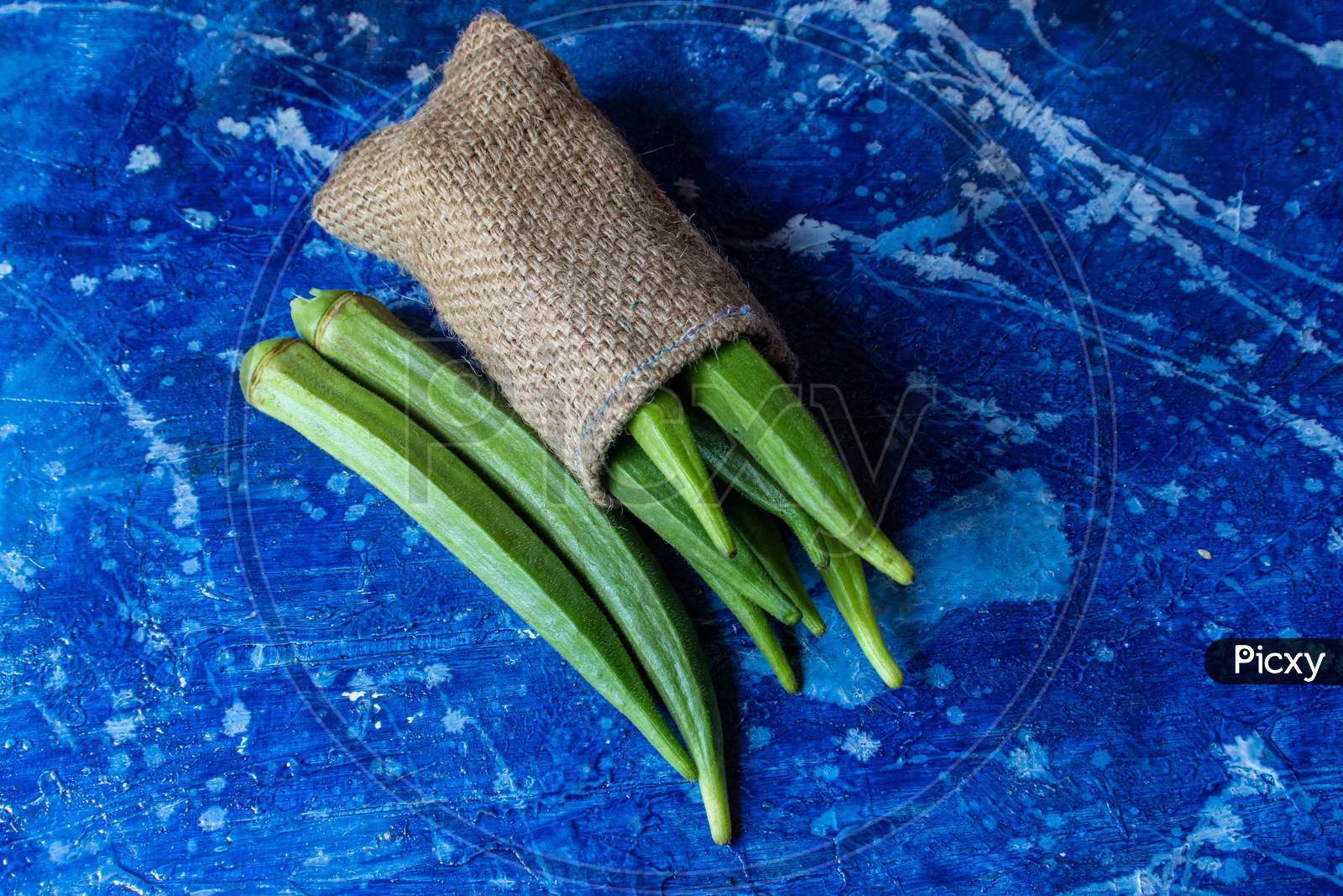 Bhindi Or Lady Finger Vegetable Isolated On Bluish Background