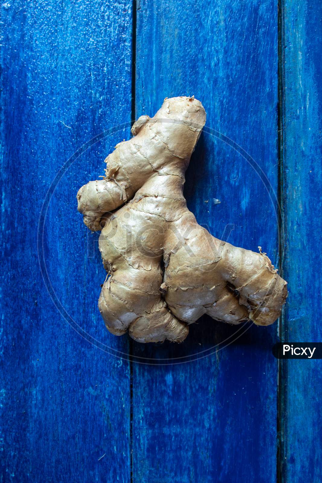Organic Ginger Root Isolated On Wooden Background In Vertical Orientation