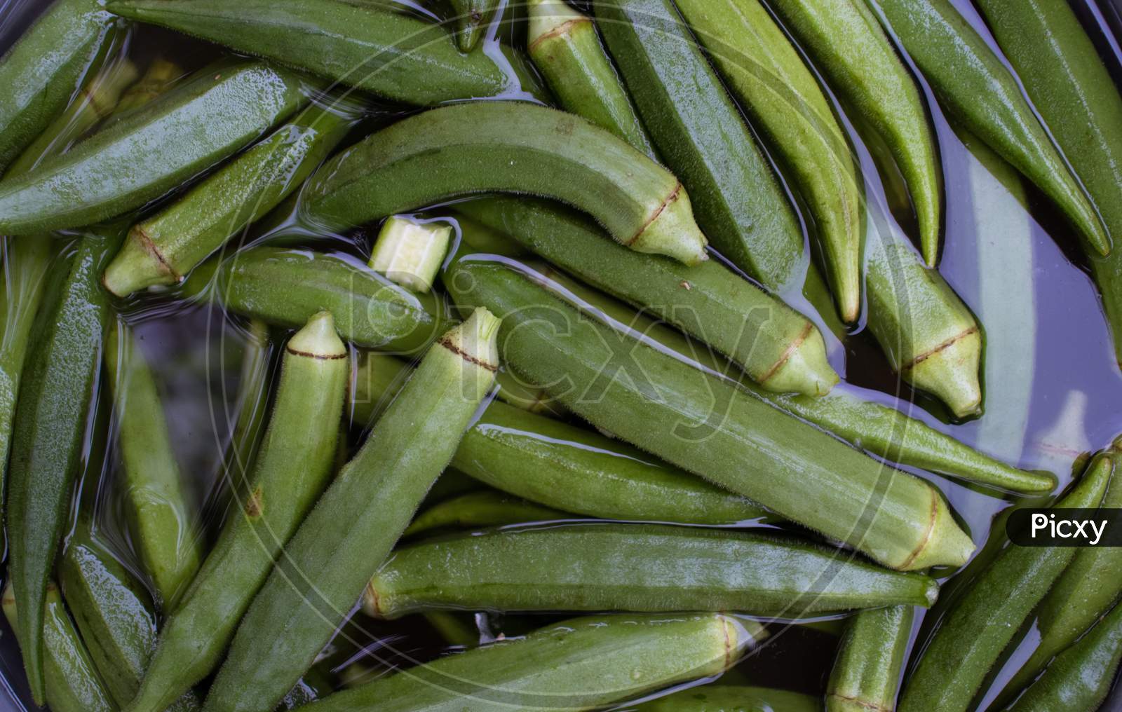 Fresh Okra Or Lady Finger Vegetable In Water For Washing