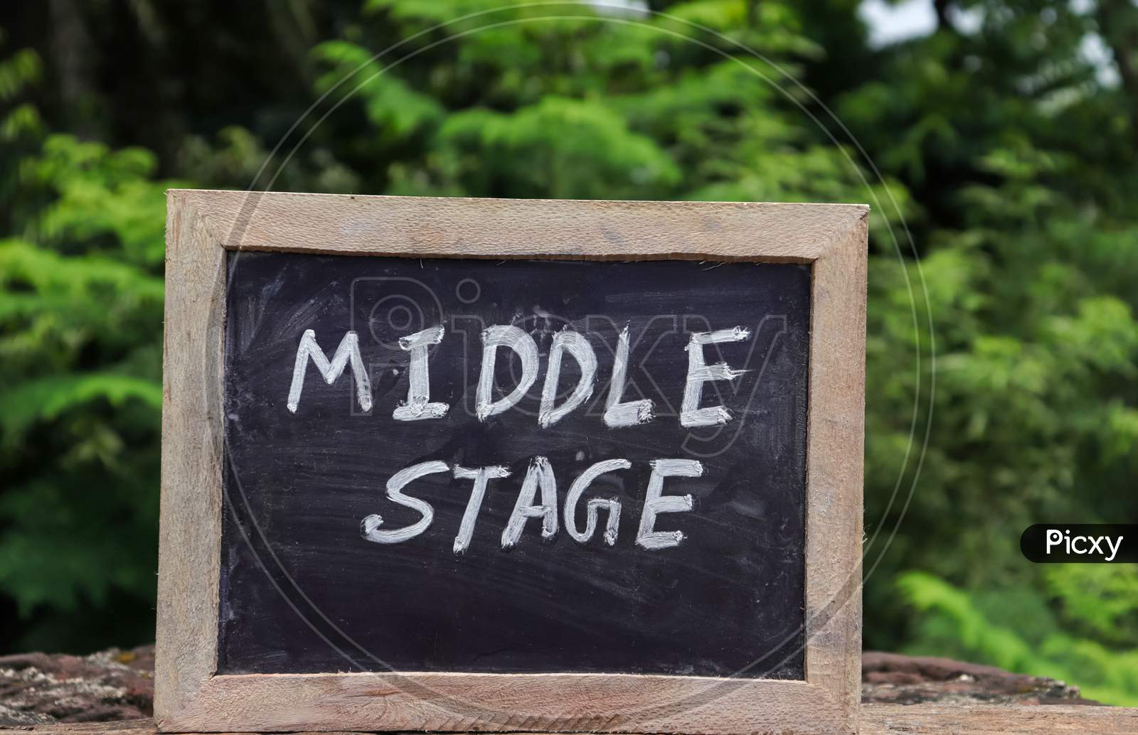 Middle Stage (India'S New Education Policy 2020) Written On Chalkboard With White Chalk