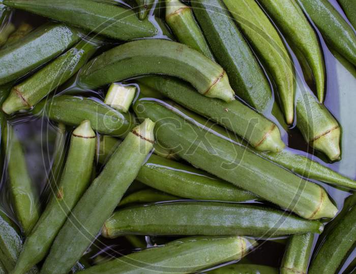 Fresh Okra Or Lady Finger Vegetable In Water For Washing
