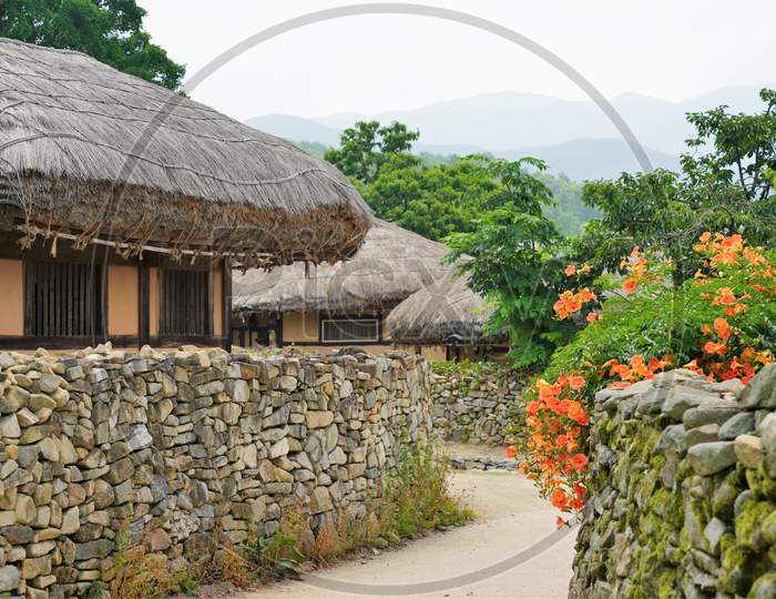 Landscape view of korean house near green crop field
