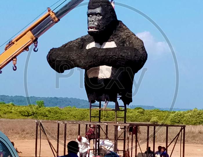 Gorilla Bust Being Carried By Crane