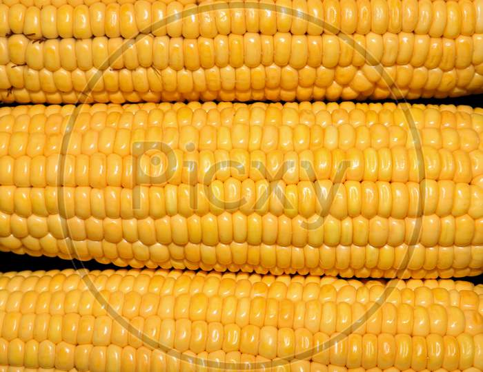 Corn Or Maize Seeds Pattern Background