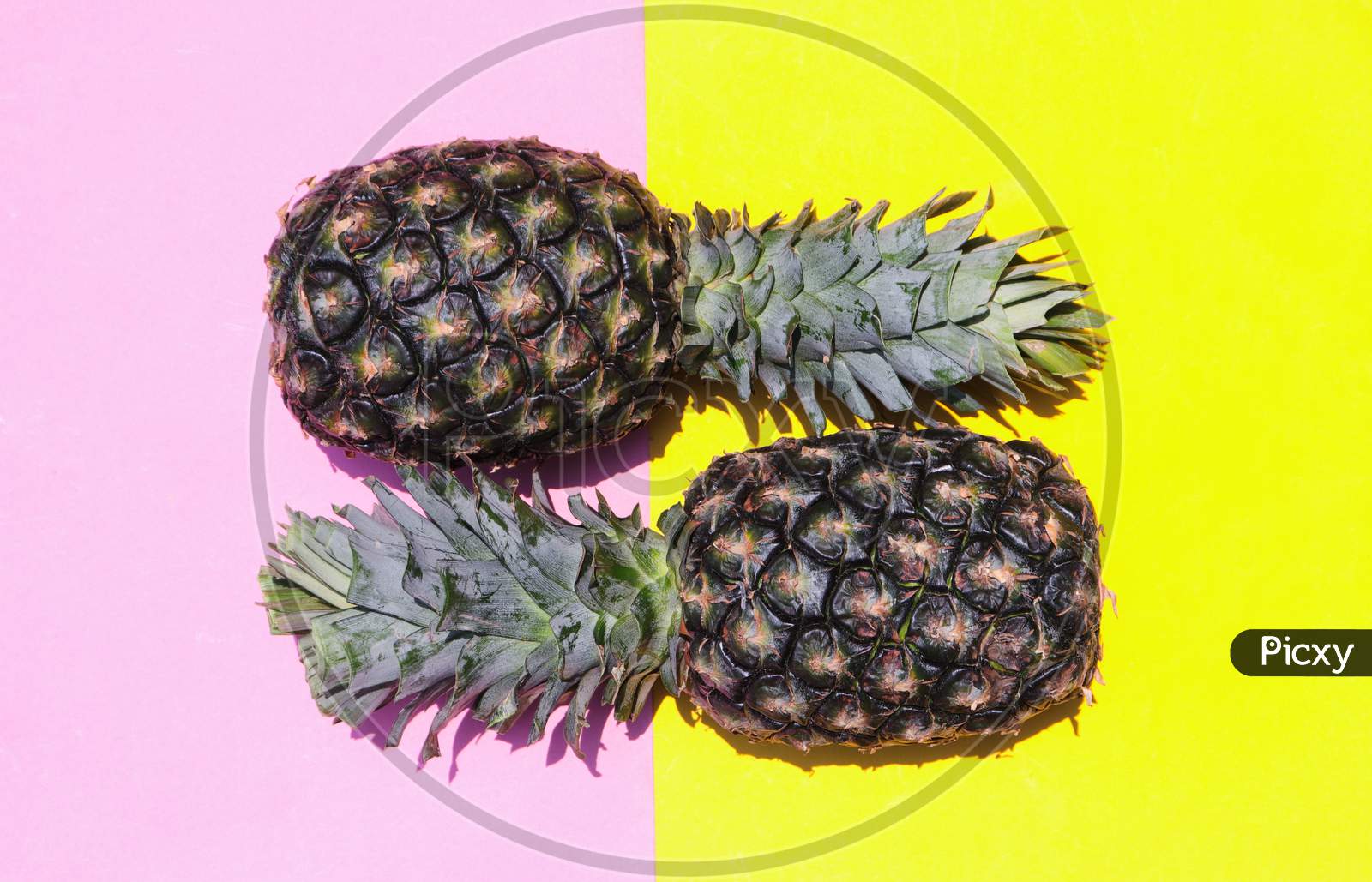 Pineapple Fruit Isolated on Yellow and Pink Background