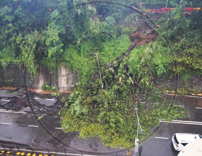 A view shows a tree that collapsed during a landslide after heavy rainfall in Mumbai, India on August 6, 2020.