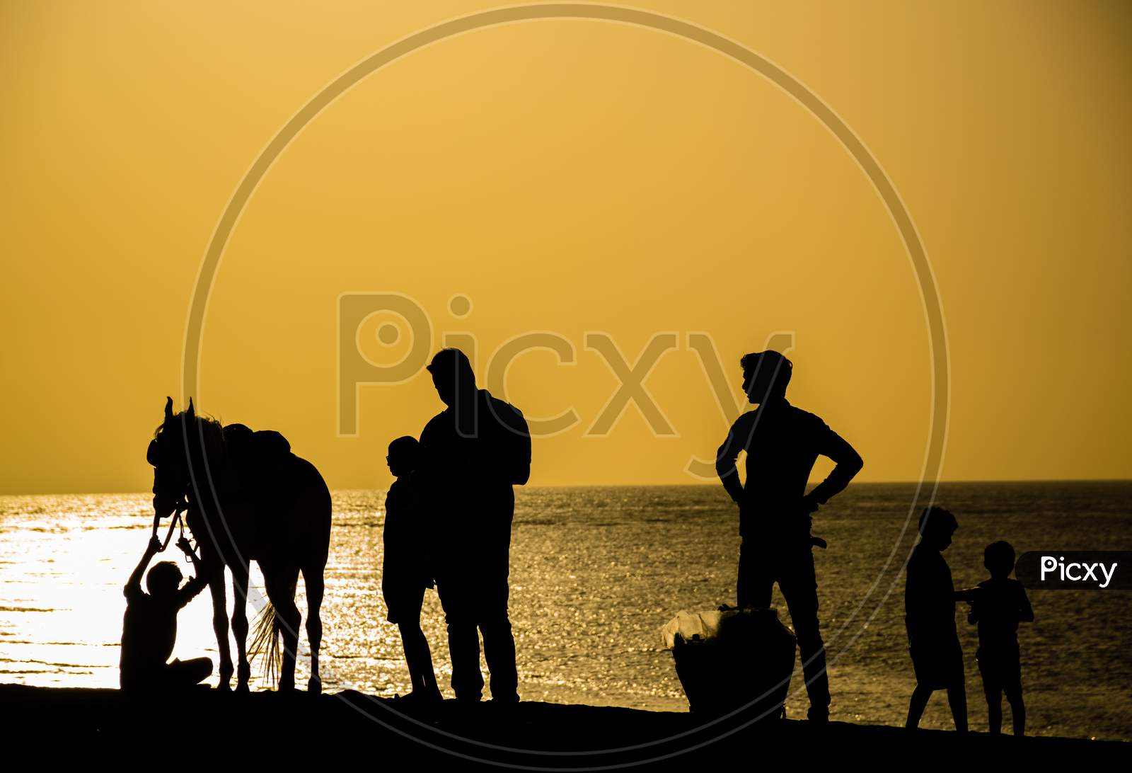 A Silhouette Of People And A Horse At Jampore Beach In Daman, India
