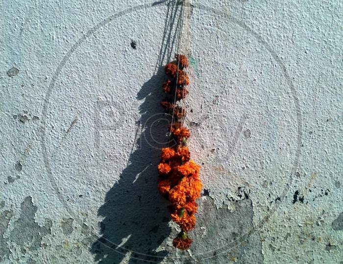 Garland Of Marigold Hanging On A Wall