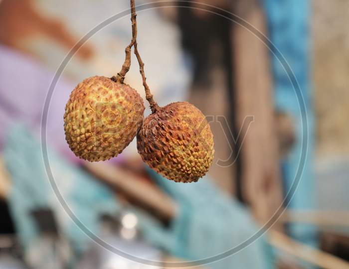 Hanging Litchi Or Lychee Fruit With Selective Focus And Copy Space