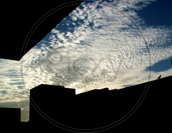 Building Silhouette With Pigeon And Cloudy Blue Sky