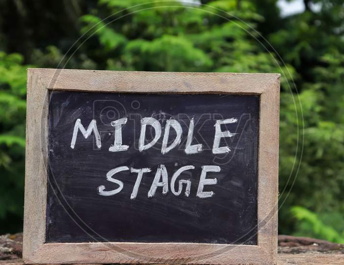 Middle Stage (India'S New Education Policy 2020) Written On Chalkboard With White Chalk