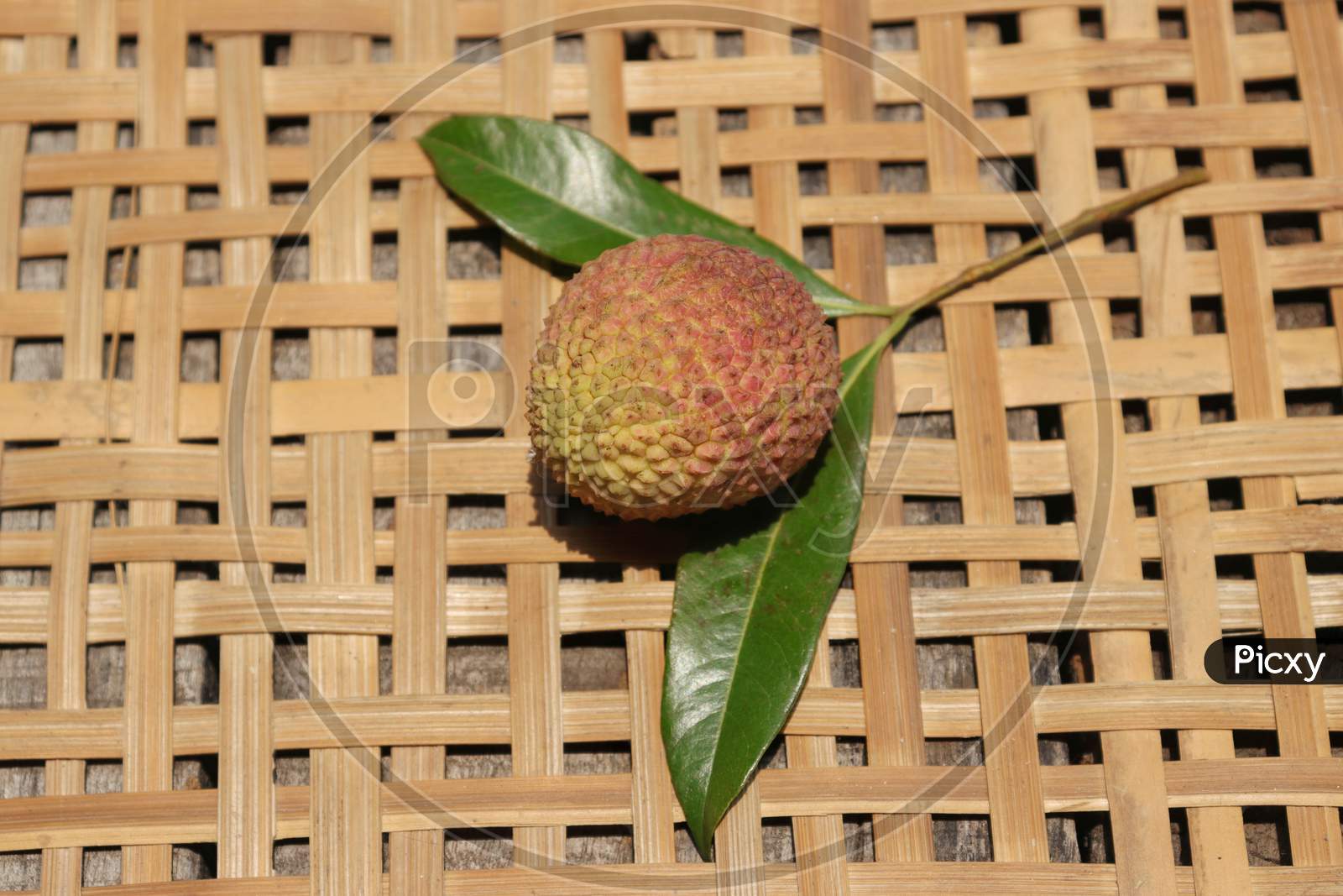 Organic Litchi Or Lychee With Leaves