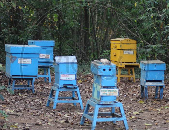 Madhuban honey plant at Mahabaleshwar