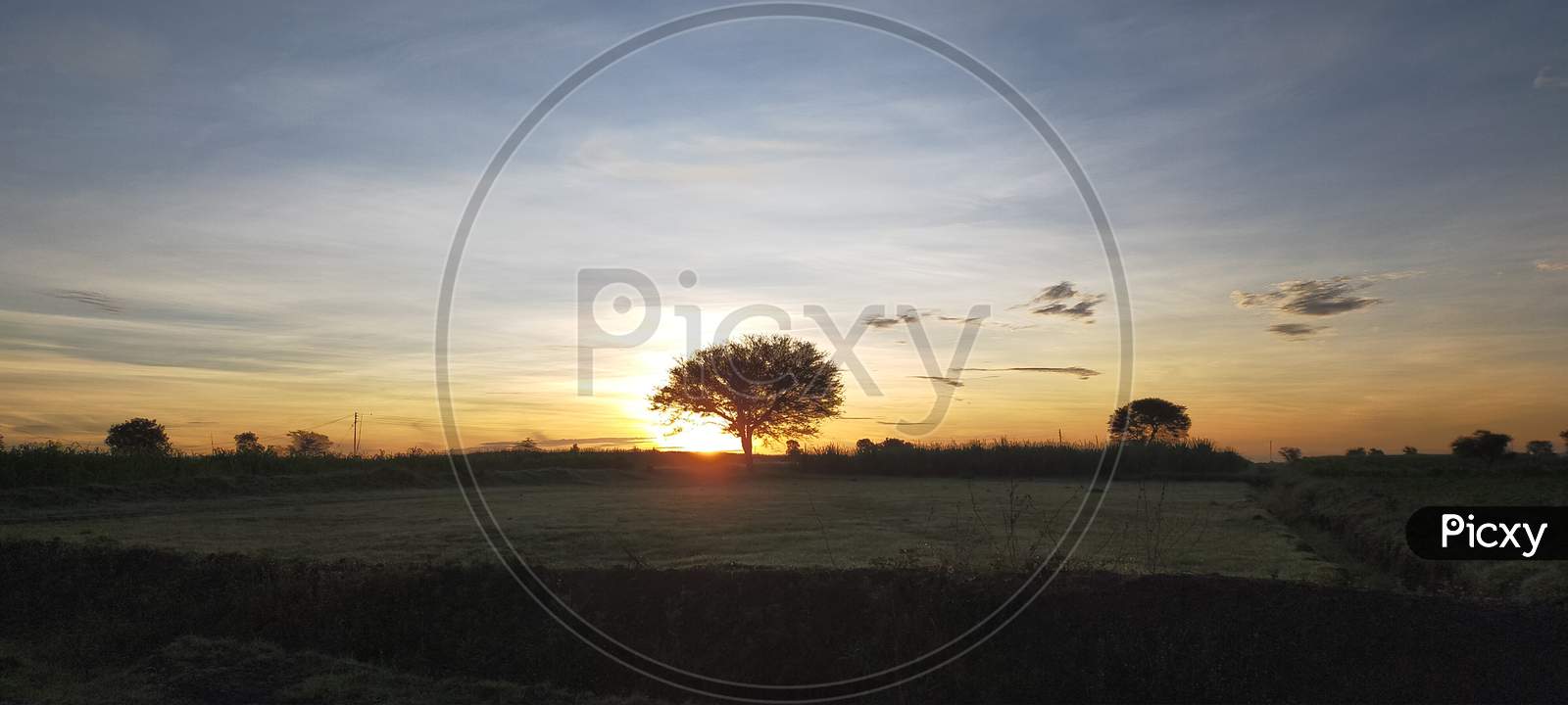 Sunrise silhouette photography with tree