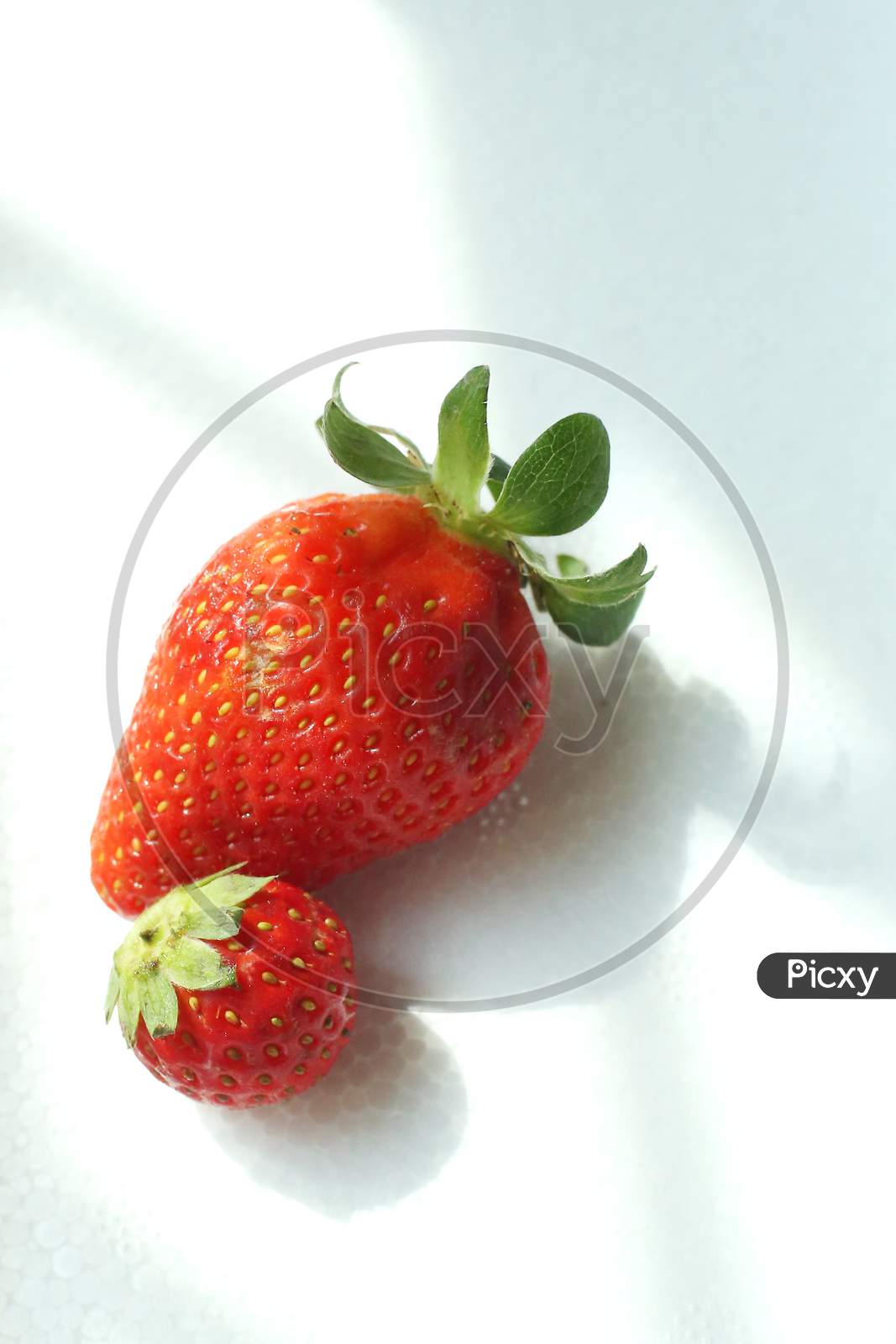 Two Strawberries Close Up On White Background