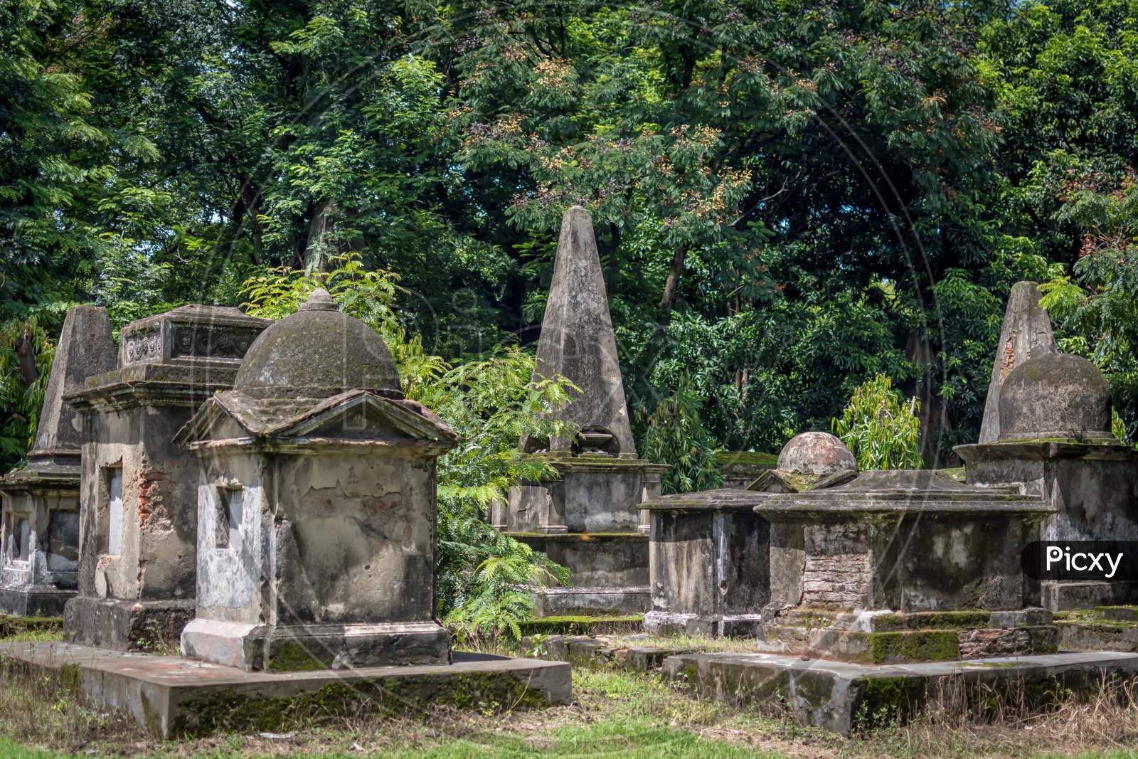 Old Trees And Ancient Gravestones Tombs Of South Park Street Cemetery In Kolkata, India. The Largest Christian Cemetery In Asia