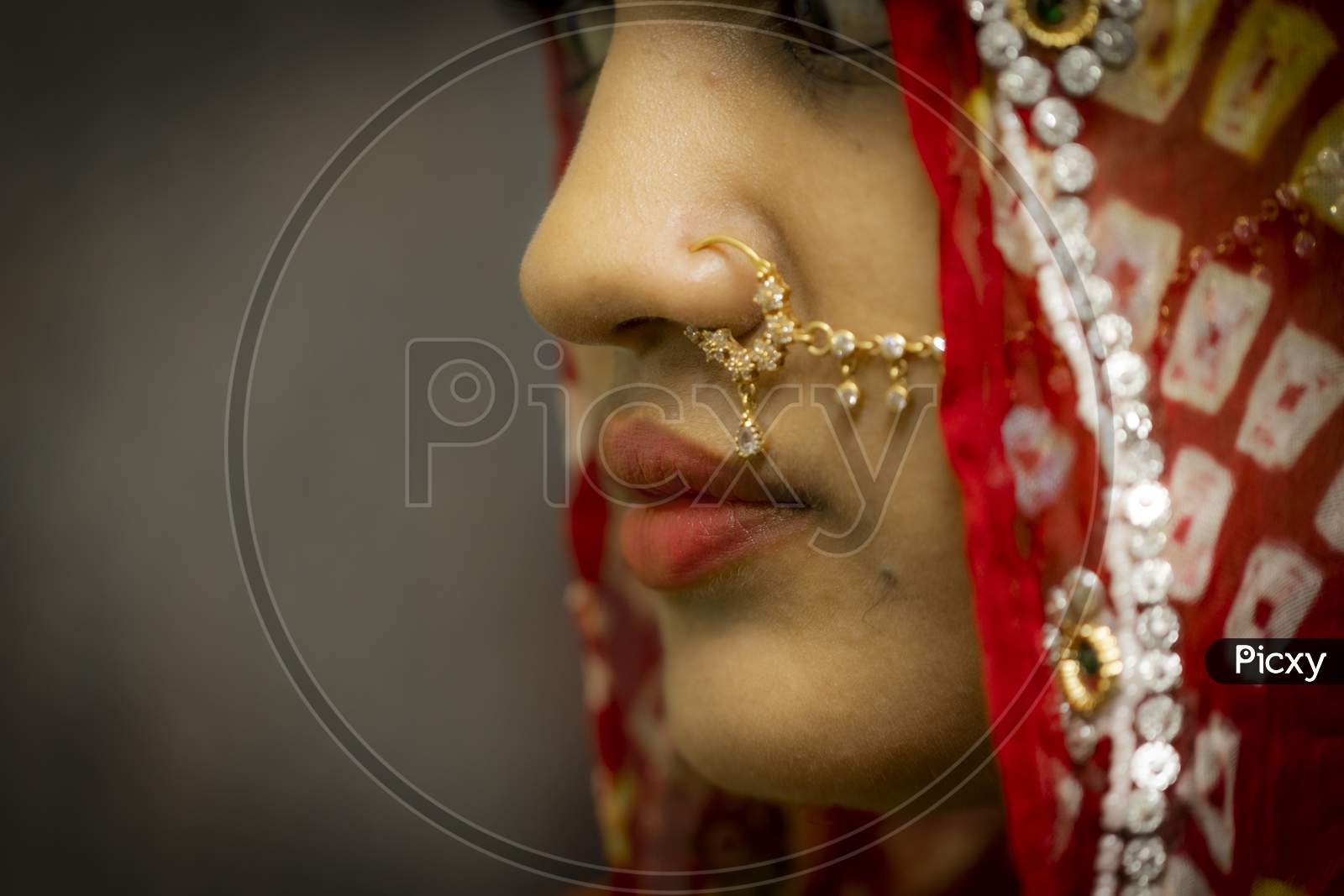 Gorgeous Woman Portrait Closeup With Wearing Shiny Gold Nose Rings