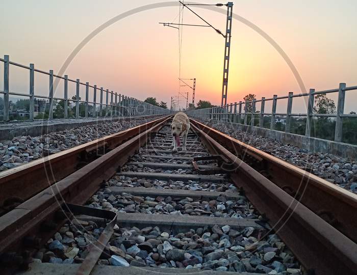 Picture Of Railway Track Taken In The Evening
