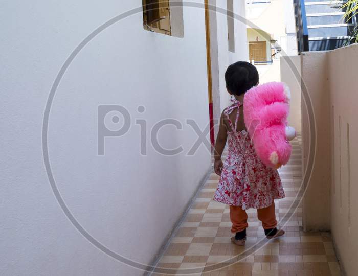 Indian Baby Girl Playing With Pink Teddy Bear In Exterior