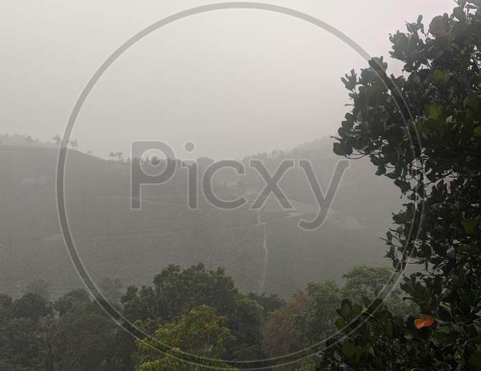 Mist, Nature and Rain
