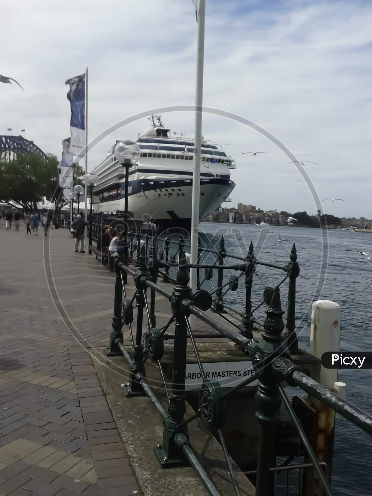 Sydney Australia ,10/10/2014 , Sydney Port , Large Passenger Ship Docked In The Pier And Seagulls Are Flying All Over