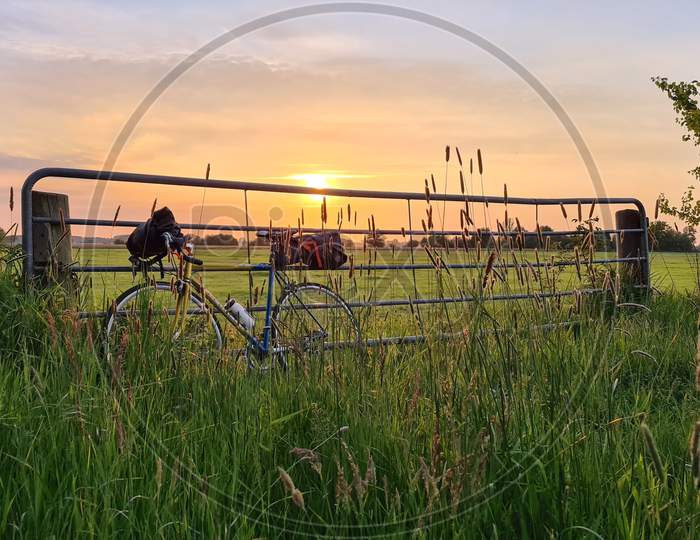Bicycle on the green grass field during sunset.