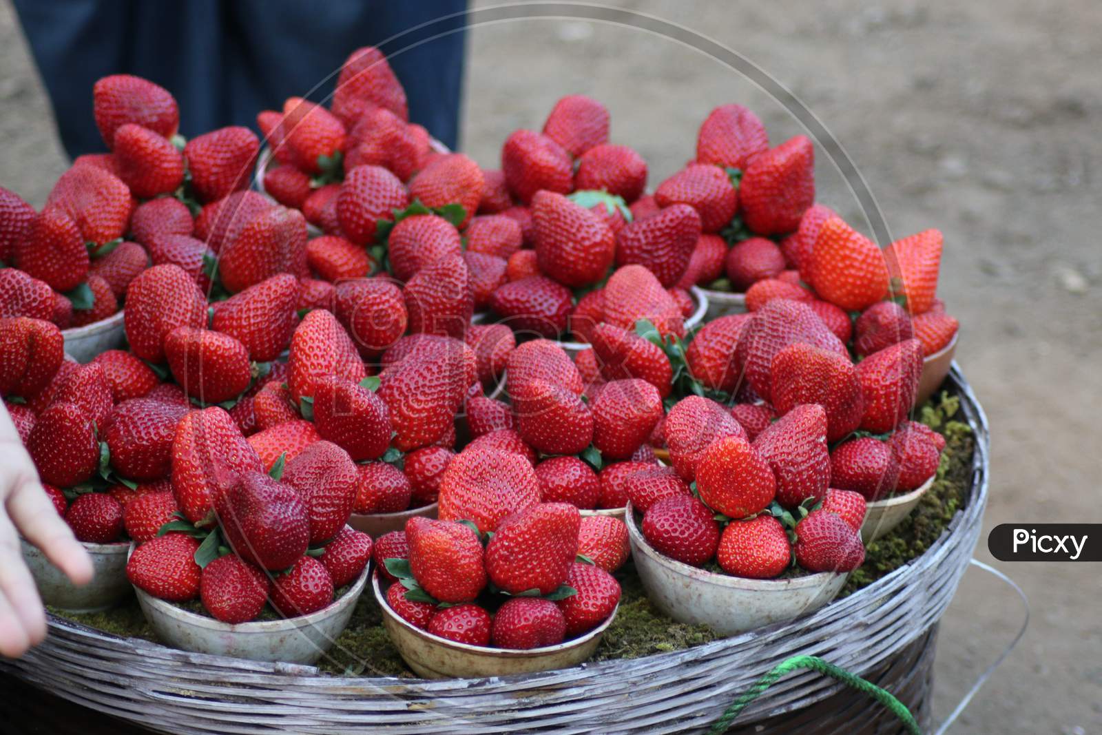 people selling fresh strawberries at Mahabaleshwar