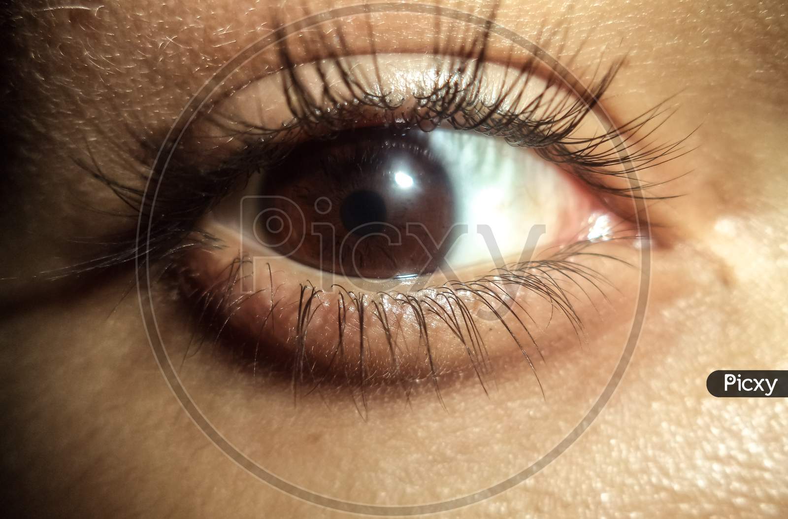 A macro picture of beautiful eye.