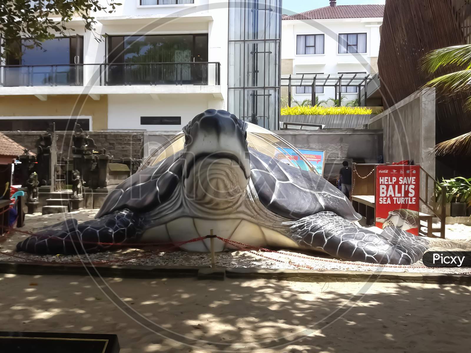 1/22/2015,Benoa, Bali , Indonesia, Giant Turtle Sculpture In Bali Beach , Asking Donation Sign To Save Sea Turtle