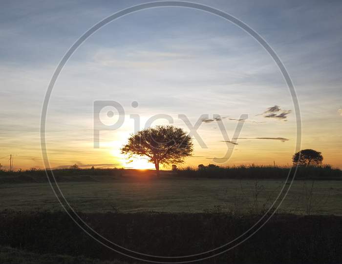 Sunrise silhouette photography with tree