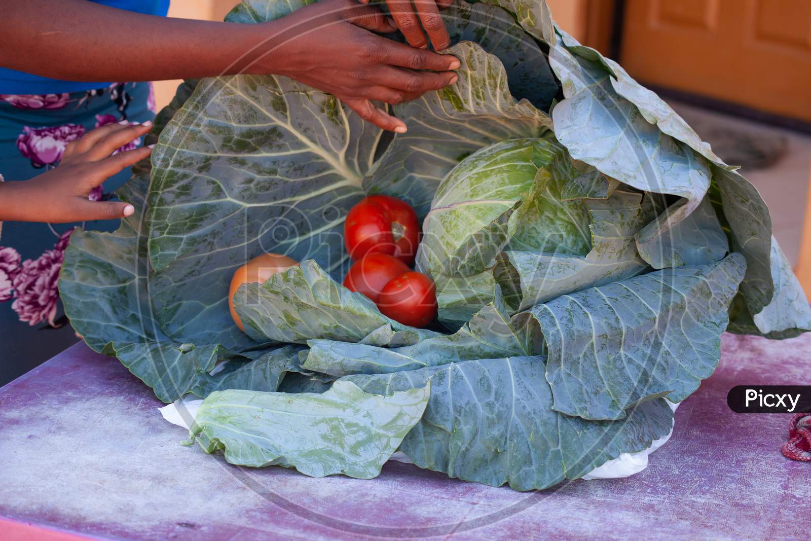 A Fresh Ripe Cabbage Head With Tomatoes