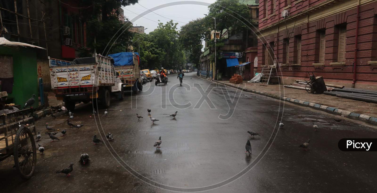 A street wears a deserted look amid the complete bi-weekly lockdown imposed by the government to curb Coronavirus spread in Kolkata on August 8, 2020