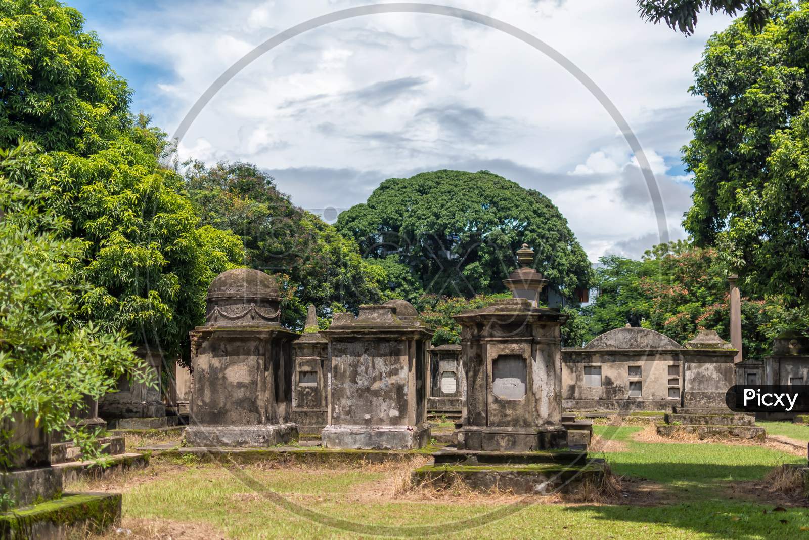 Old Trees And Ancient Gravestones Tombs Of South Park Street Cemetery In Kolkata, India. The Largest Christian Cemetery In Asia